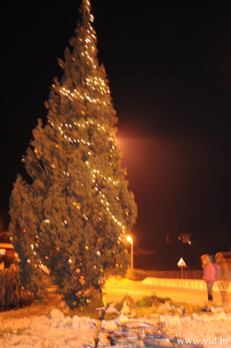 Badnjak (33)
